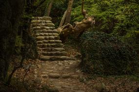 Abandoned Architecture in forest