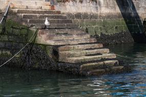 Seagull Harbor Stairs