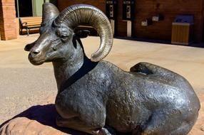 Reclining Bighorn Ram Sculpture