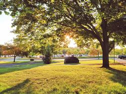 Cornell Autumn Scenery
