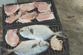 Grilled fish and meat