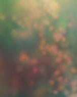 Autumn Background Fall