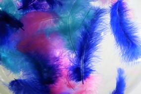 Feathers Winged art