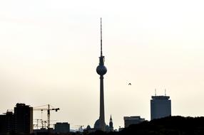 Berlin Tv Tower Capital