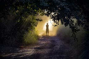 Silhouette Mist Fog
