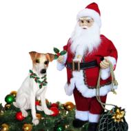 santa claus and his dog