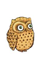 owl cute owl owl illustration