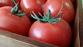 homemade ripe tomatoes