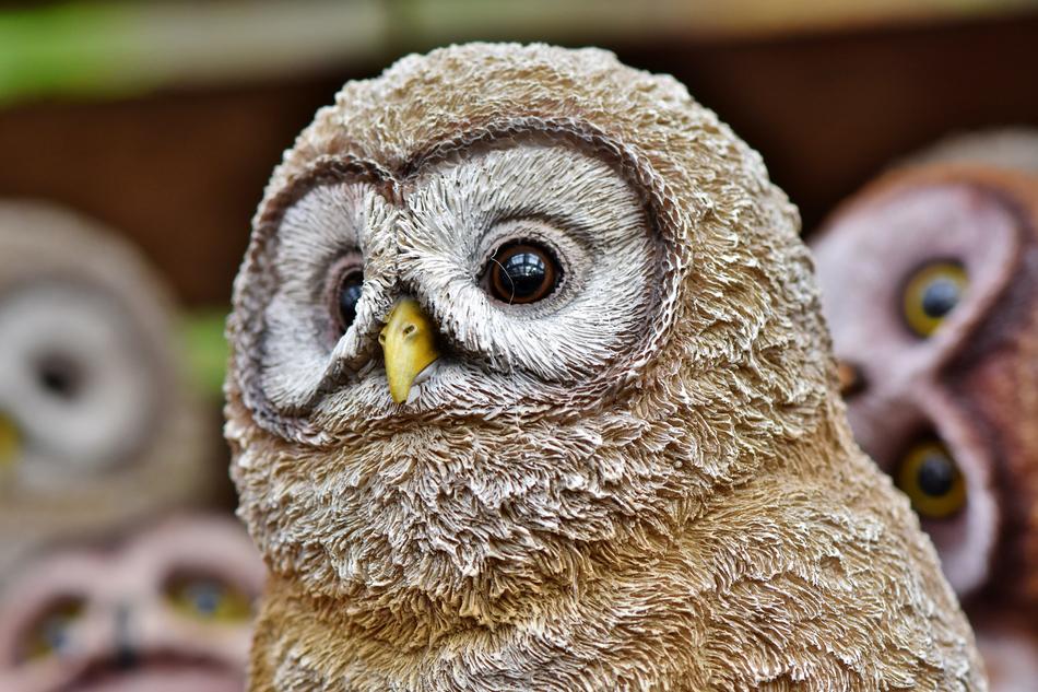 Owl Figure Decoration