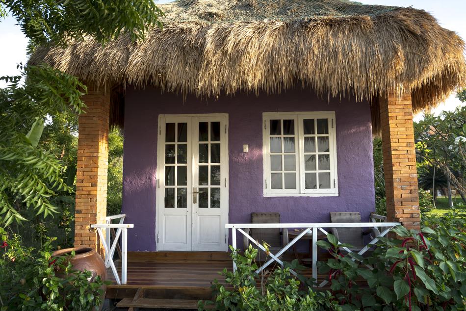 Style Full Color Decorate