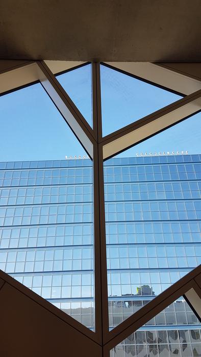 Calgary Library Window City