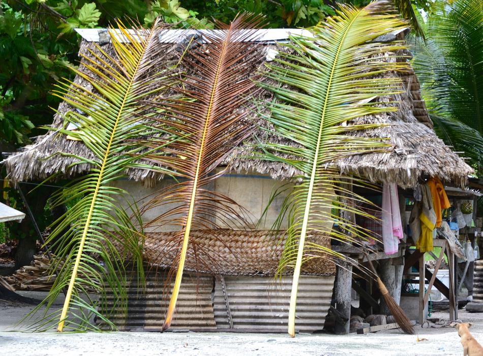 Hut Grass Tropical
