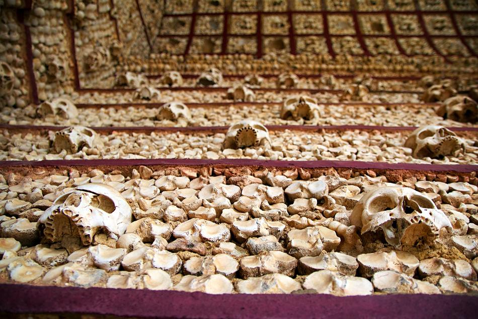 Faro Portugal Algarve Bone