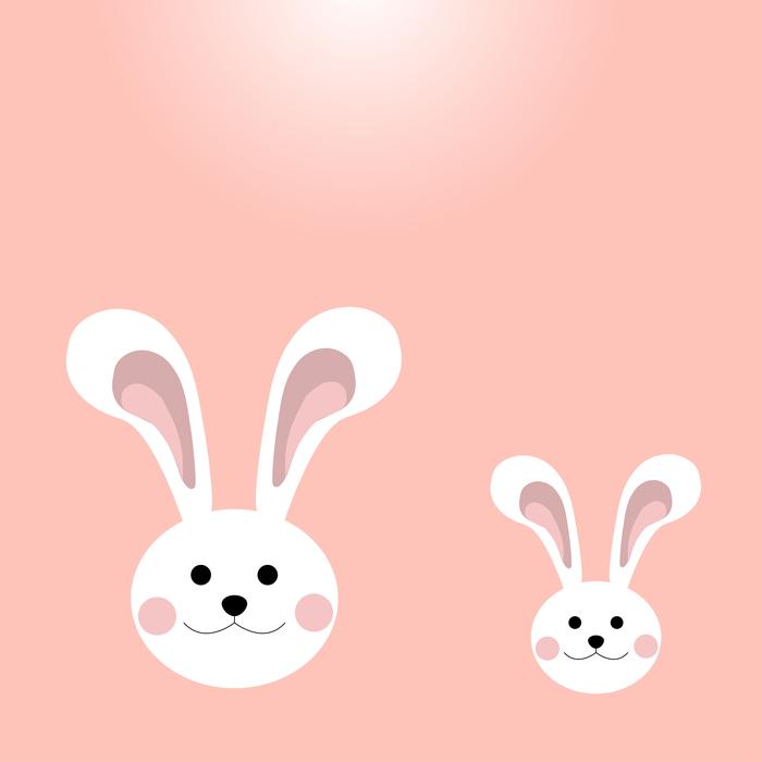 bunny rabbit cute animal