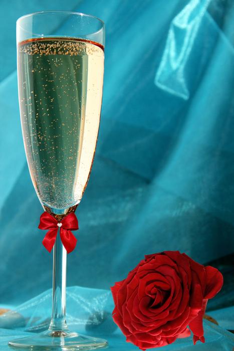 champagne blue rose background