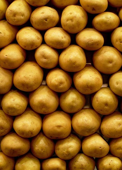 Potato harvest in a box