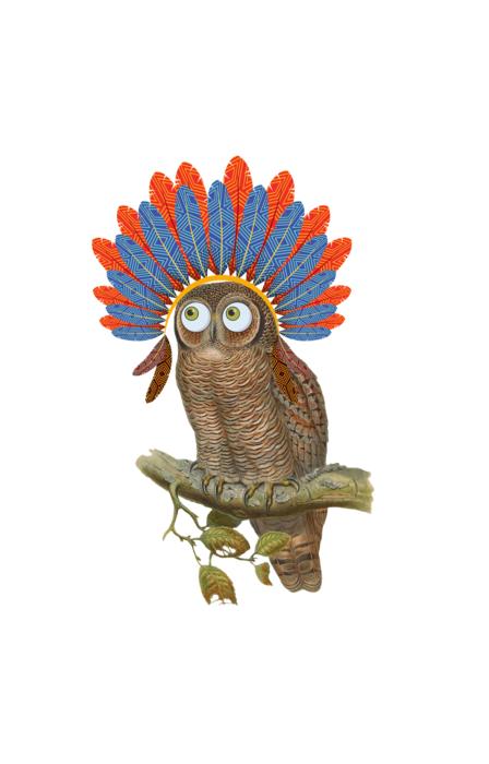 owl vintage bird illustration