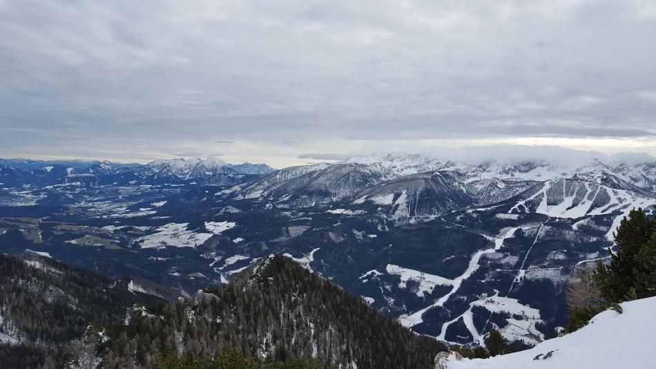 Alps Tourism Forest