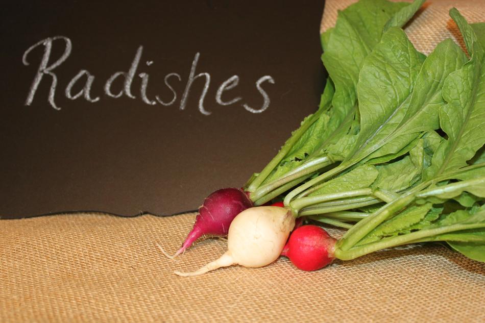 ripe radishes are delicious