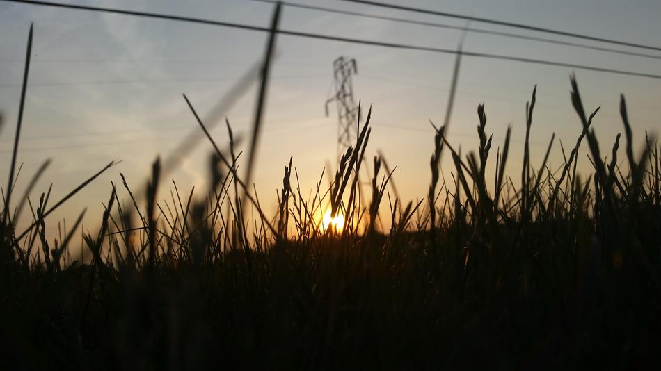 Grass Sunset Sky