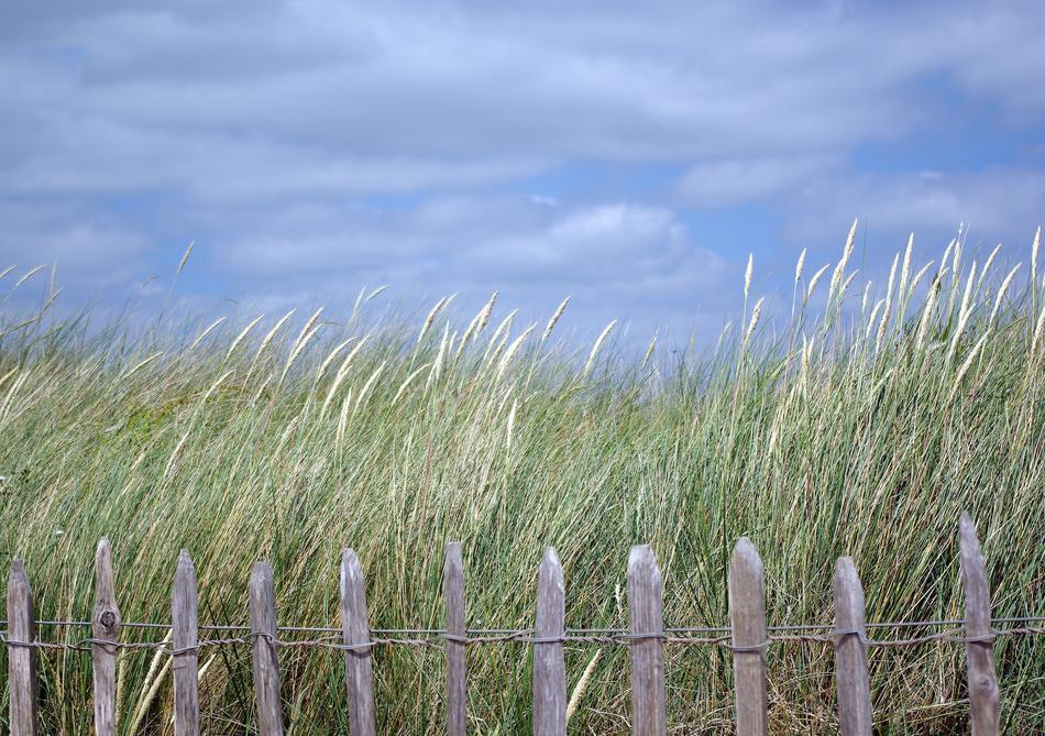 Dawlish Warren Devon Beach