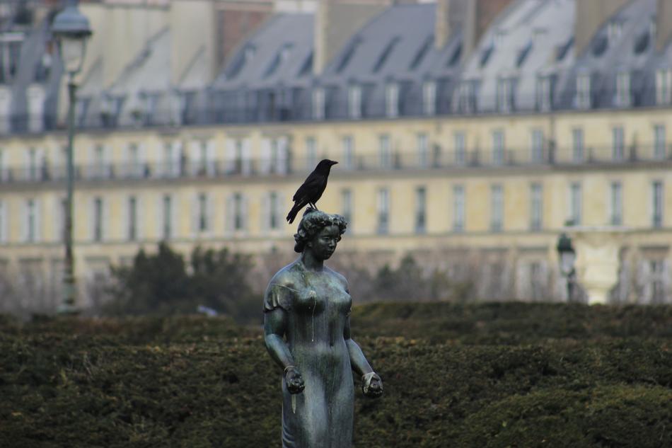 France Statue Sculpture