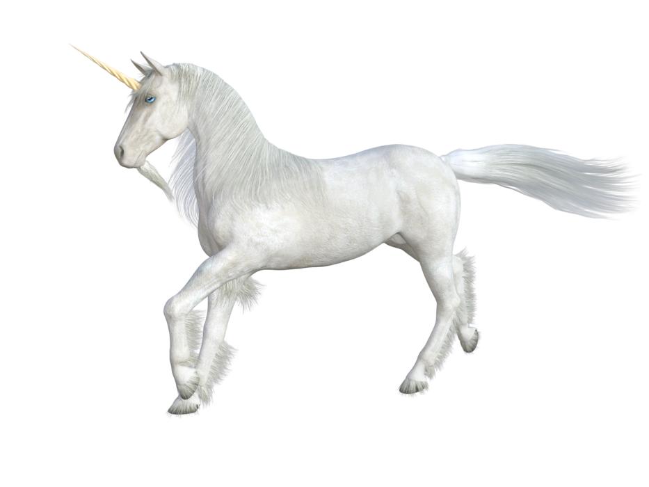 unicorn horse mythical creatures