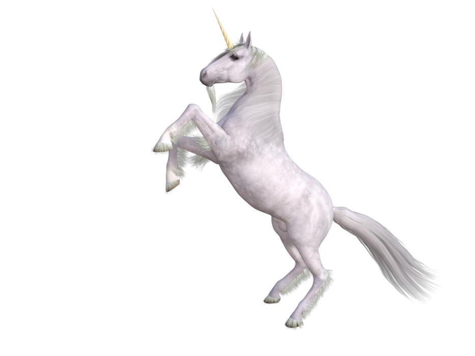 horse unicorn animal horn creature