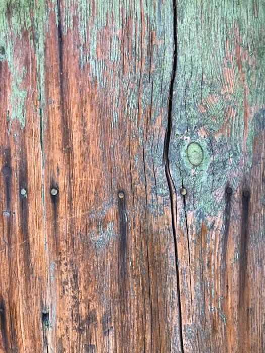 Tree Texture Colors