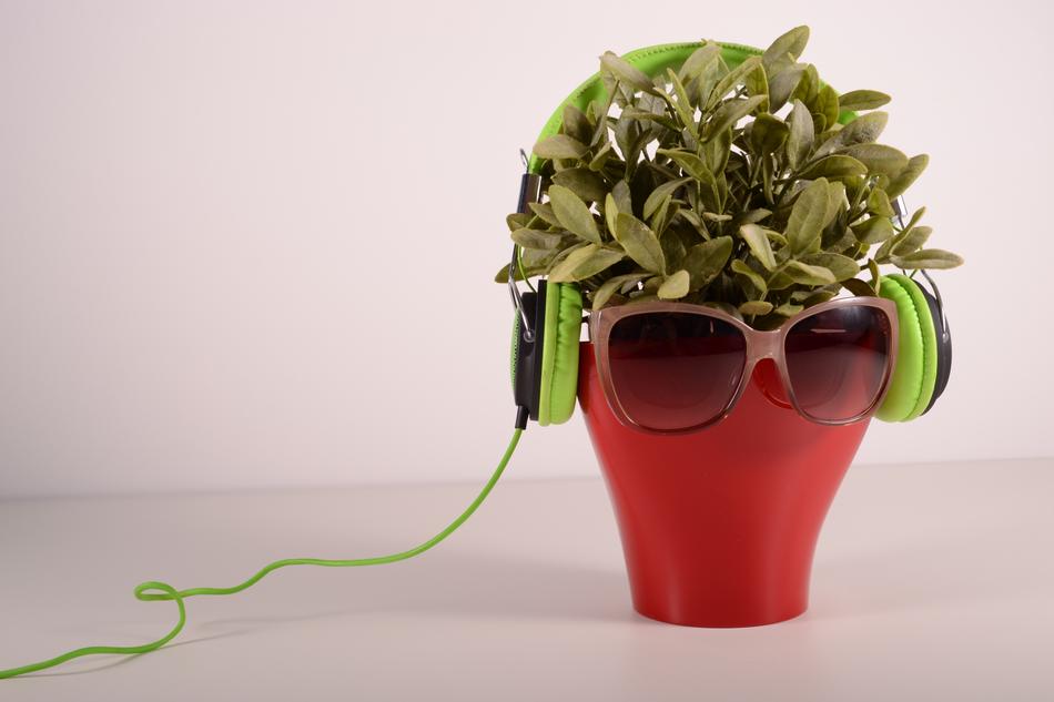 Flowerpots Plastic Color
