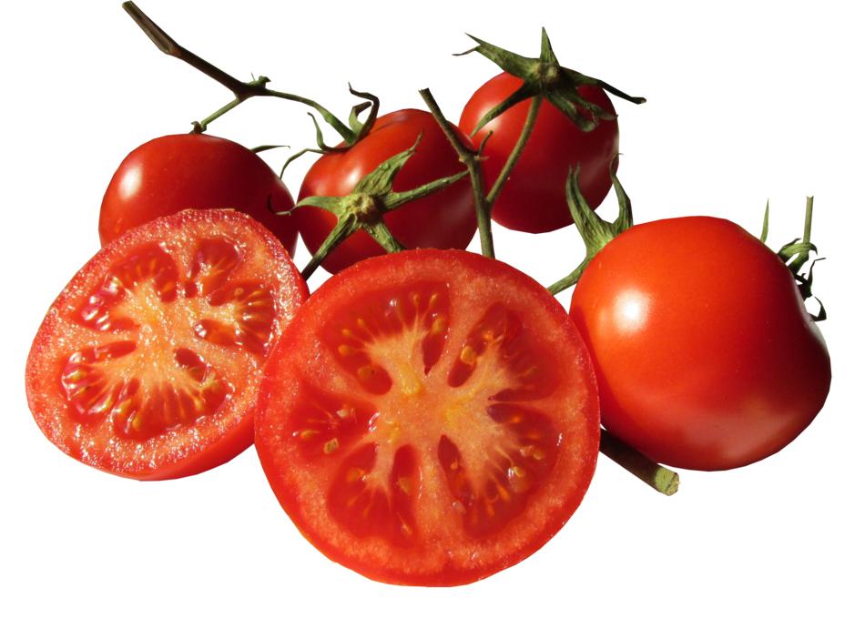 sliced tomatoes on a white background