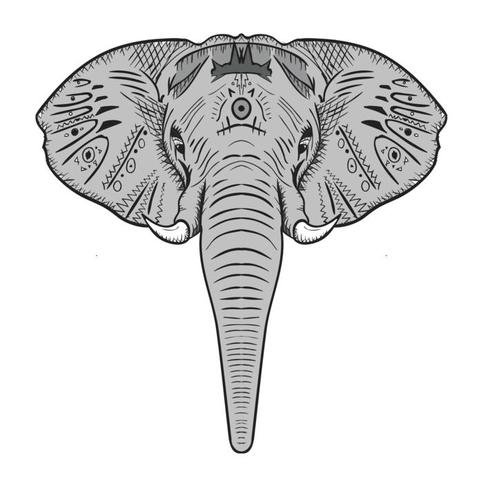 elephant animal wildlife head