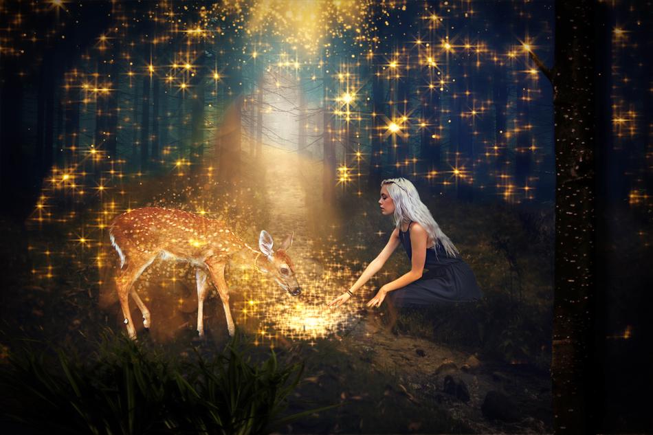 Bro Sister Fairy Tales