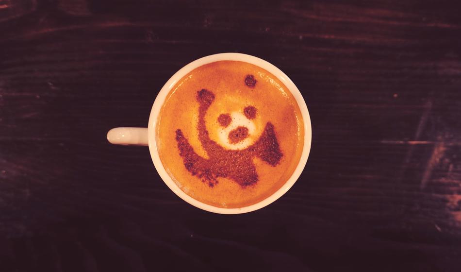 drawing of a panda in a hot drink