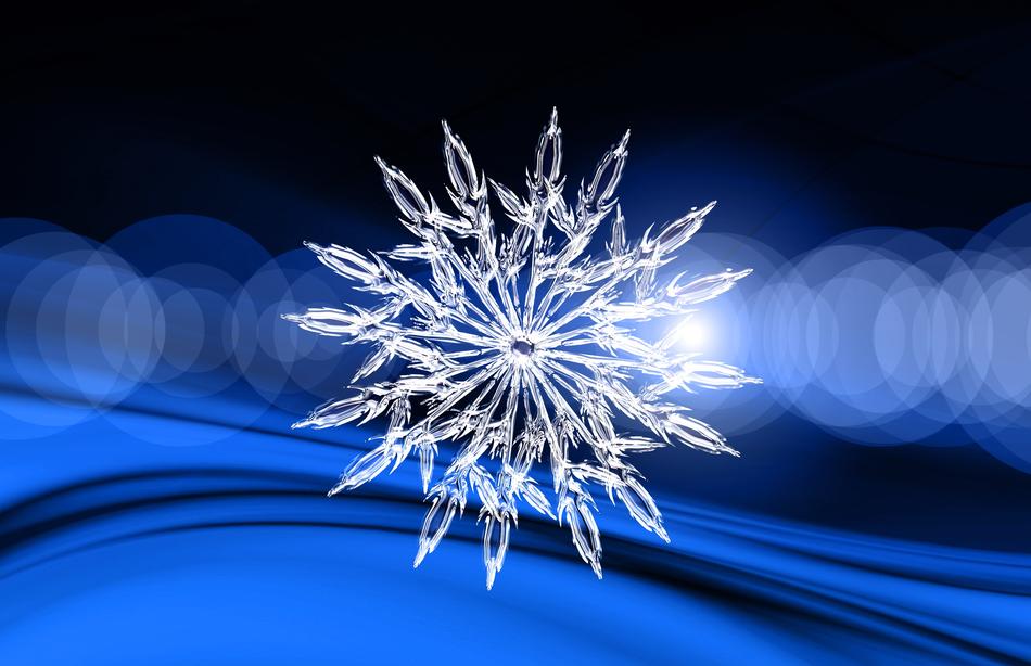 christmas christmas tree background
