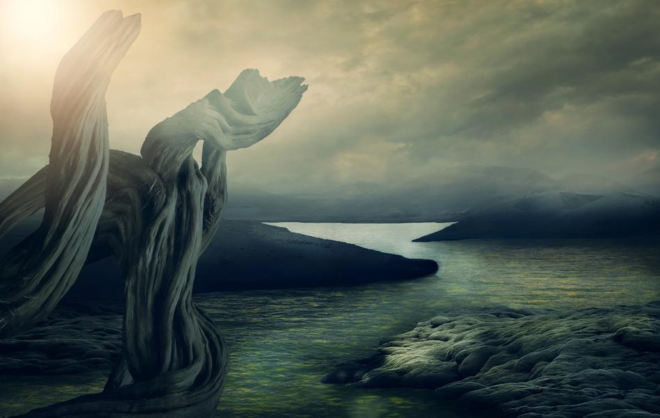 Background Fantasy Tree