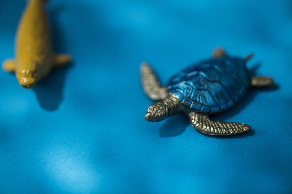 colored turtle figure