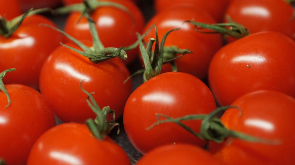 ripe juicy red tomatoes