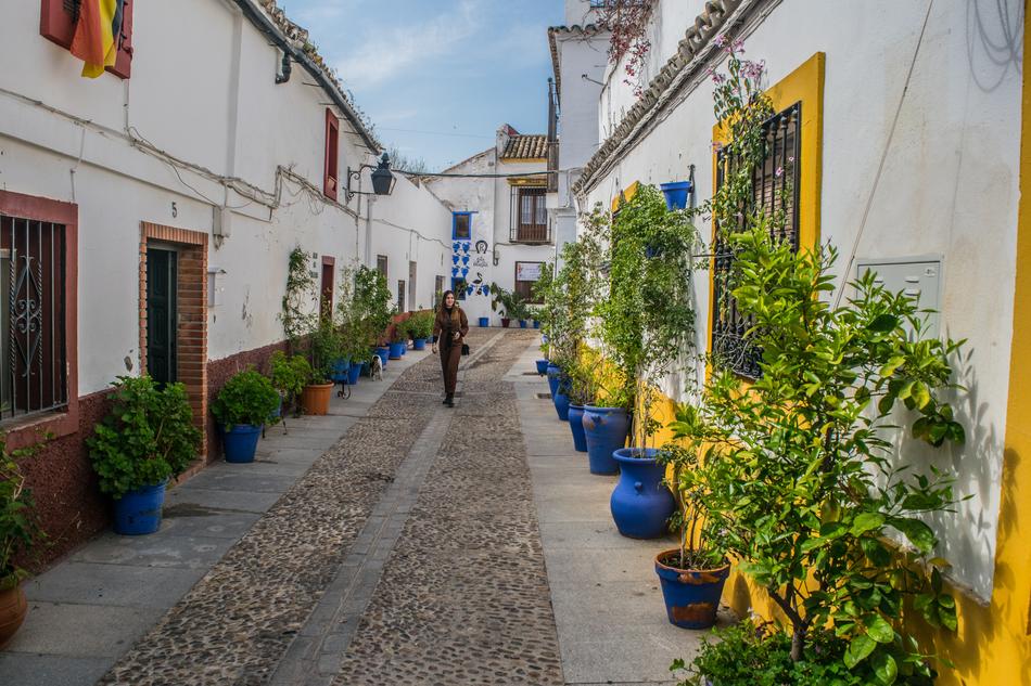 street filled with pots of flowers