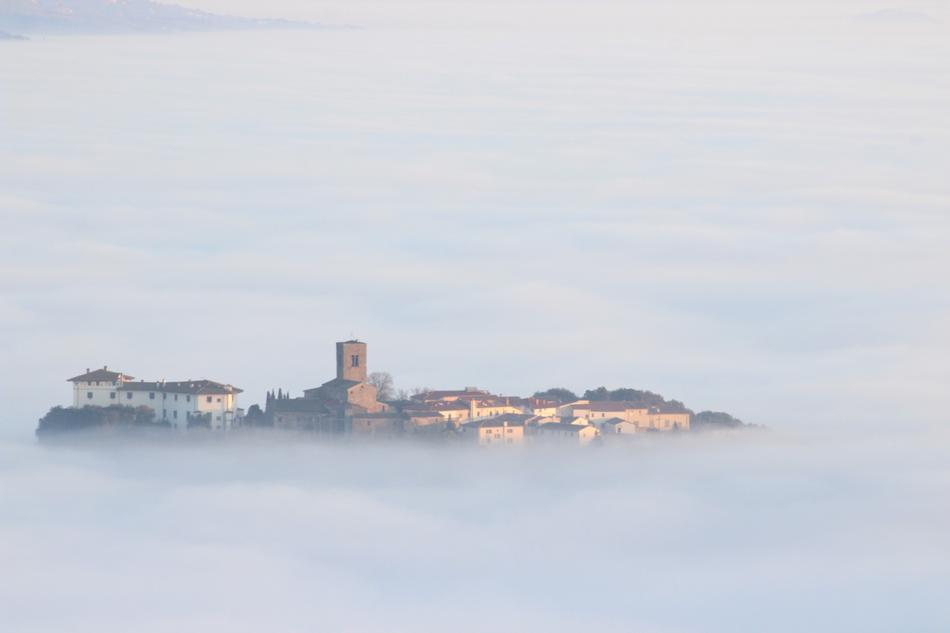 Fog Town Nature