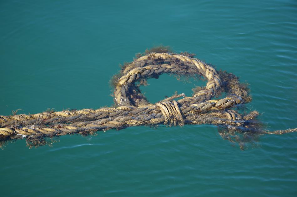 Ocean Rope Turquoise