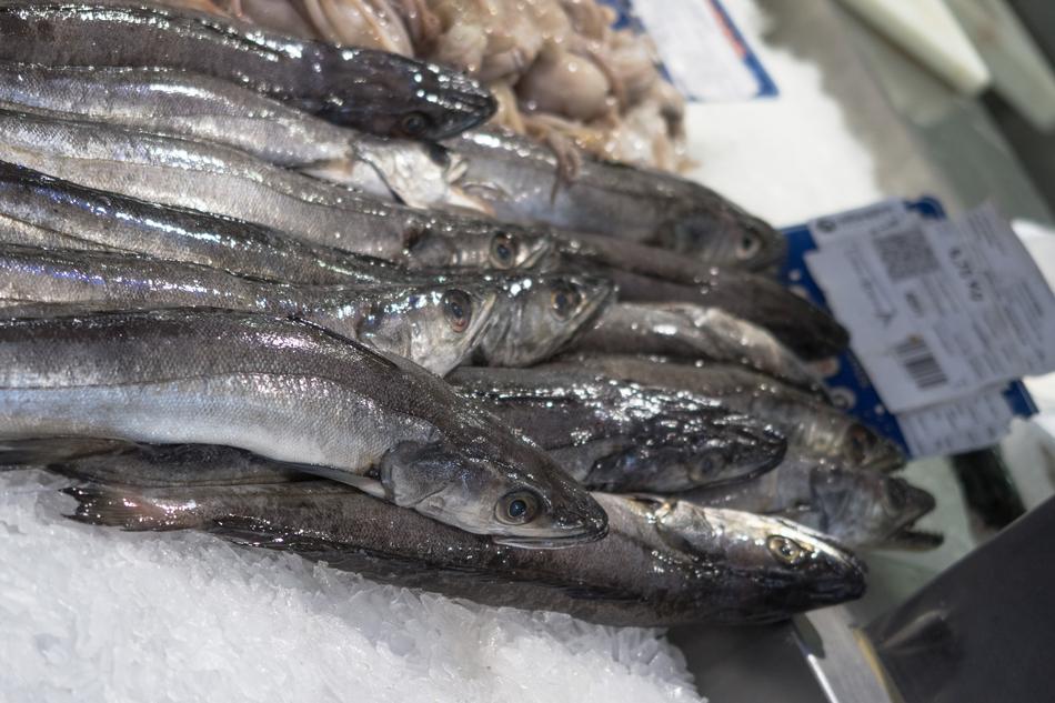 fresh frozen fish
