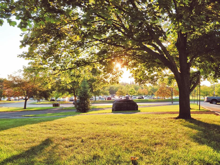 Cornell Autumn Scenery
