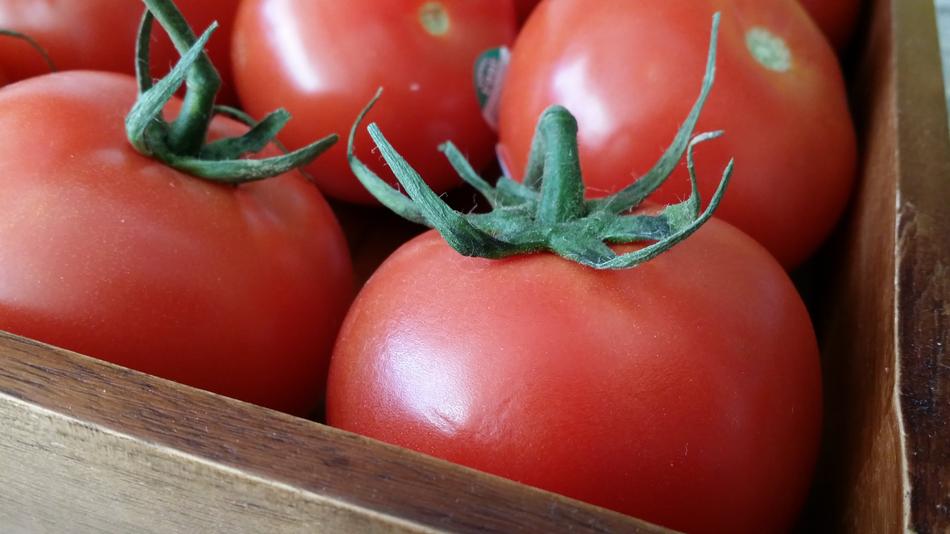 homemade ripe tomatoes
