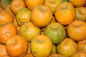 delicious sweet oranges