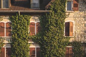 Facade Window Architecture