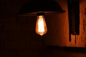 Light Bulb Lamp energy