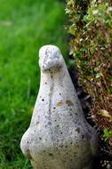 Stone Dove Petrified decor