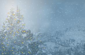Christmas Fir Tree Motif