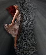 Photo Article Graphics